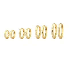 Ins Delicate Circle Zircon Earrings 925 Sterling Silver Hypoallergenic Earrings for Party YF8100