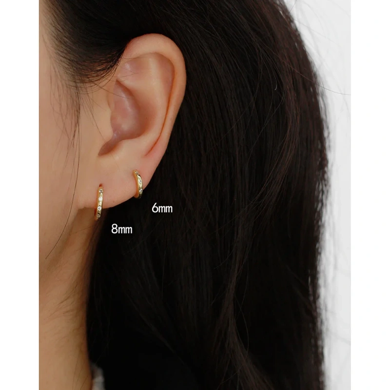 Ins Delicate Circle Zircon Earrings 925 Sterling Silver Hypoallergenic Earrings for Party YF8100