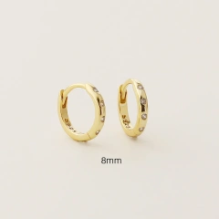 Ins Delicate Circle Zircon Earrings 925 Sterling Silver Hypoallergenic Earrings for Party YF8100