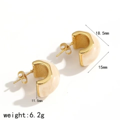 Maillard Color Earrings Geometric Resin Stud Earrings 18k Gold Plated Waterproof Stainless Steel Earrings for Womens YF8018