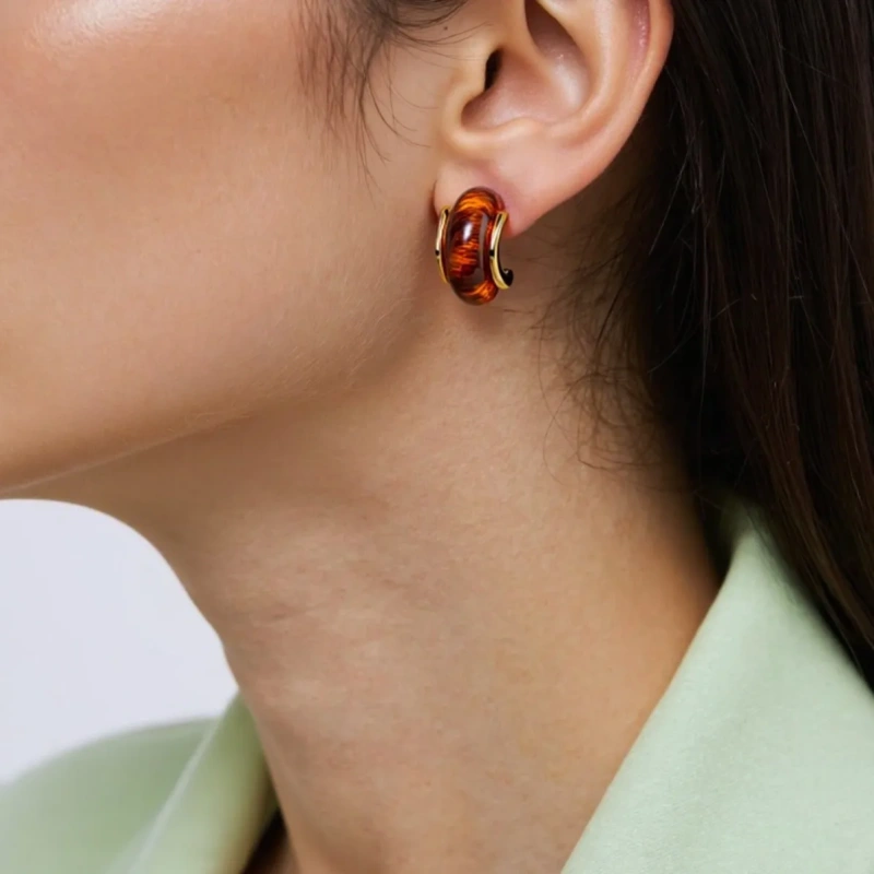 Maillard Color Earrings Geometric Resin Stud Earrings 18k Gold Plated Waterproof Stainless Steel Earrings for Womens YF8018