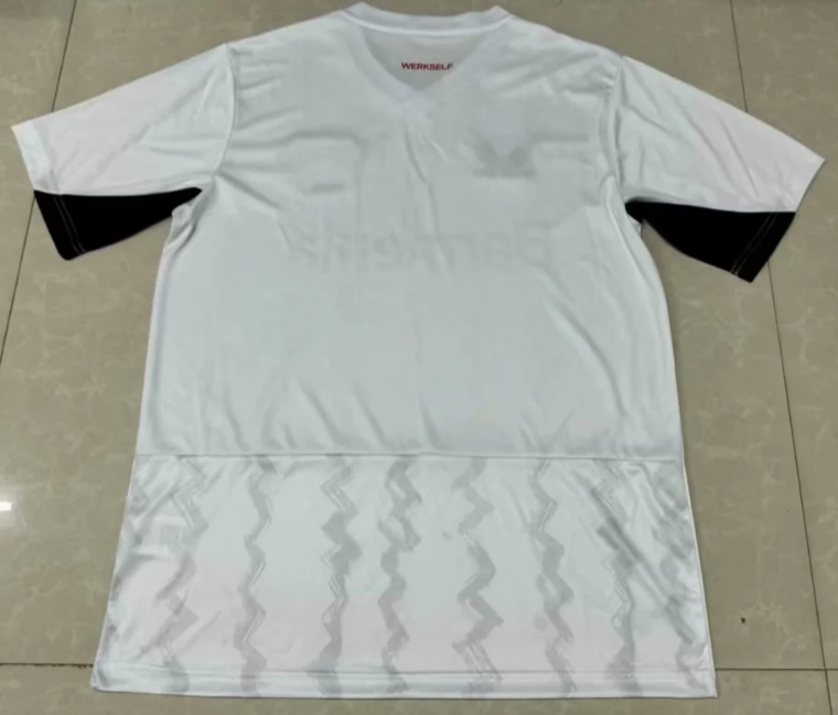 2425 Leverkusen away game