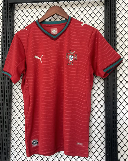2026 27 Portugal Head Coach
