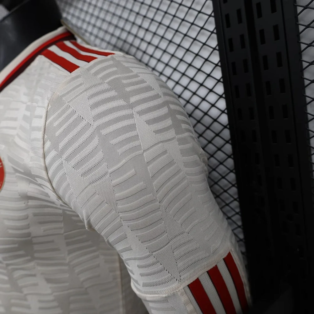 2024/2025 Bayern Munchen  Long Sleeve  Third Away Football Shirt  For Player Version