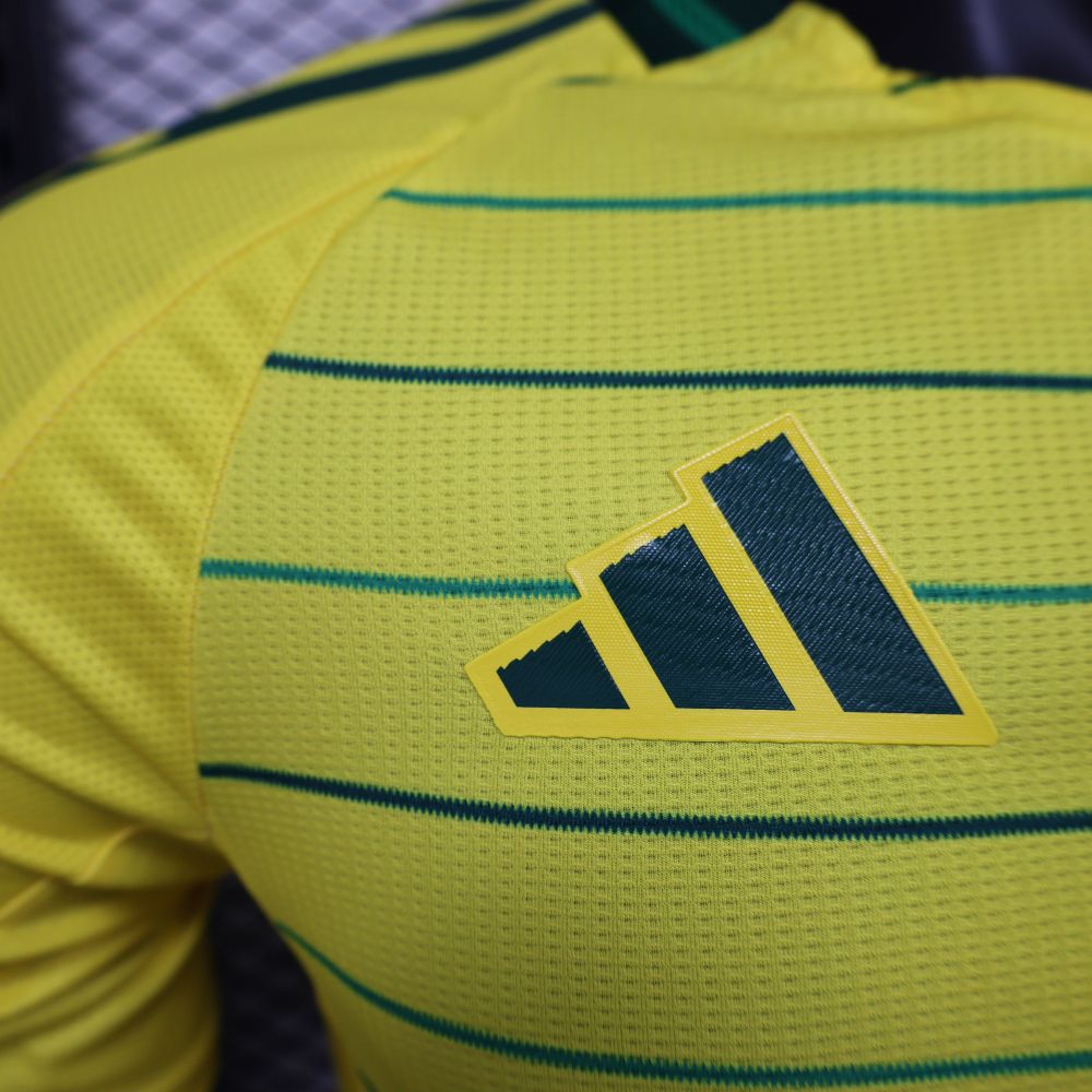 2024/2025 Celtic Yellow Special Edition Football Jersey（ Player Edition ）