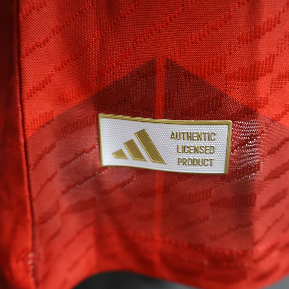 2024/2025 Spain Special Edition Football Jerseys（Players Edition ）