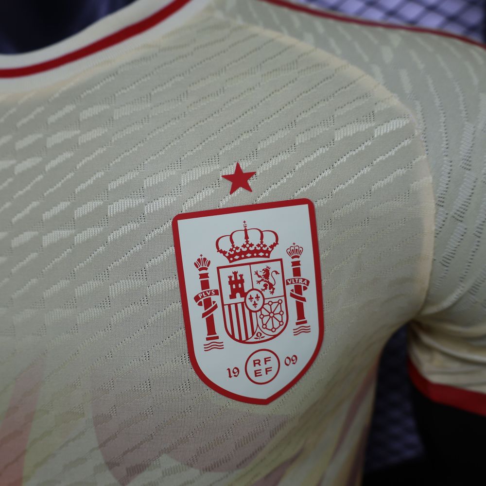 2024/2025 Spain Special Edition Football Jerseys（ Players Edition）