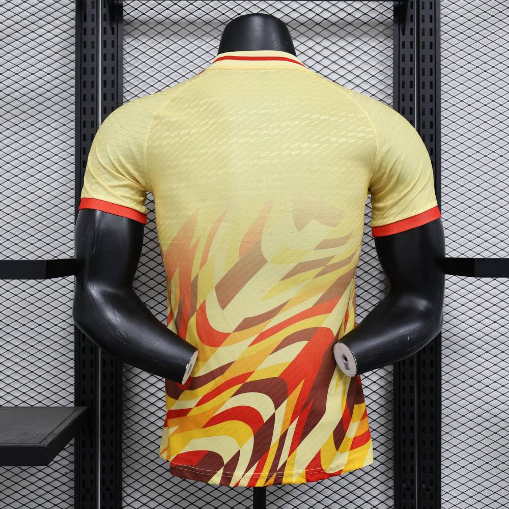 2024/2025 Spain Special Edition Football Jerseys（ Players Edition）