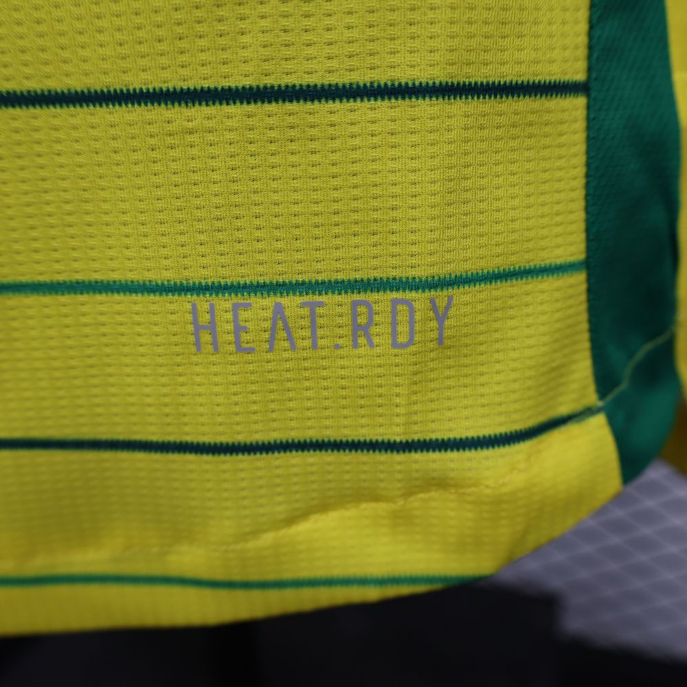 2024/2025 Celtic Yellow Special Edition Football Jersey（ Player Edition ）