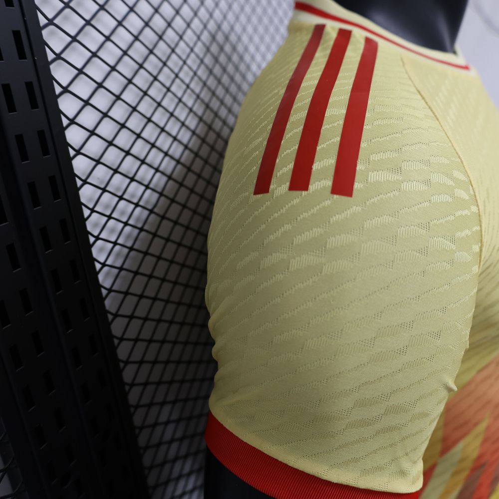 2024/2025 Spain Special Edition Football Jerseys（ Players Edition）