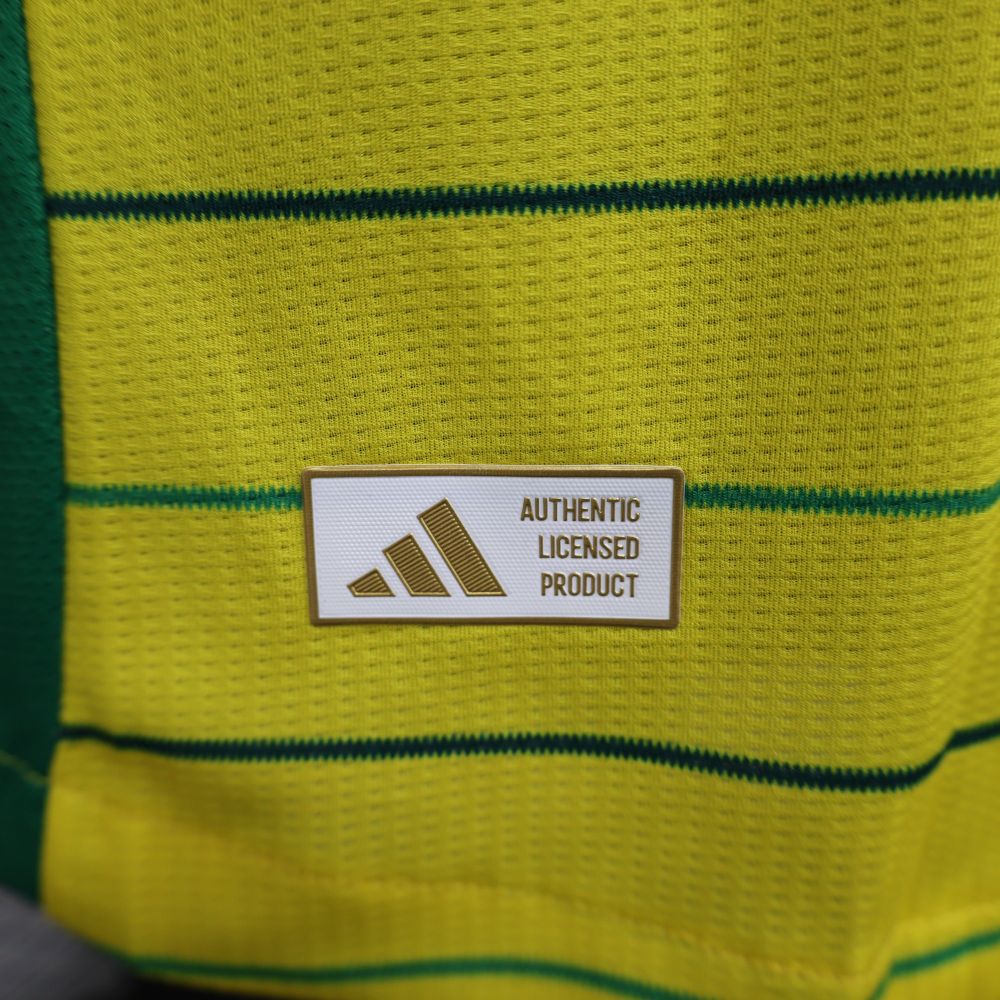 2024/2025 Celtic Yellow Special Edition Football Jersey（ Player Edition ）