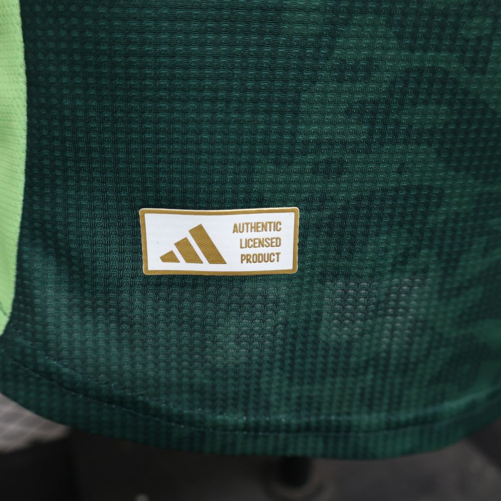 2024/2025 Algeria Away Football Jersey Player version