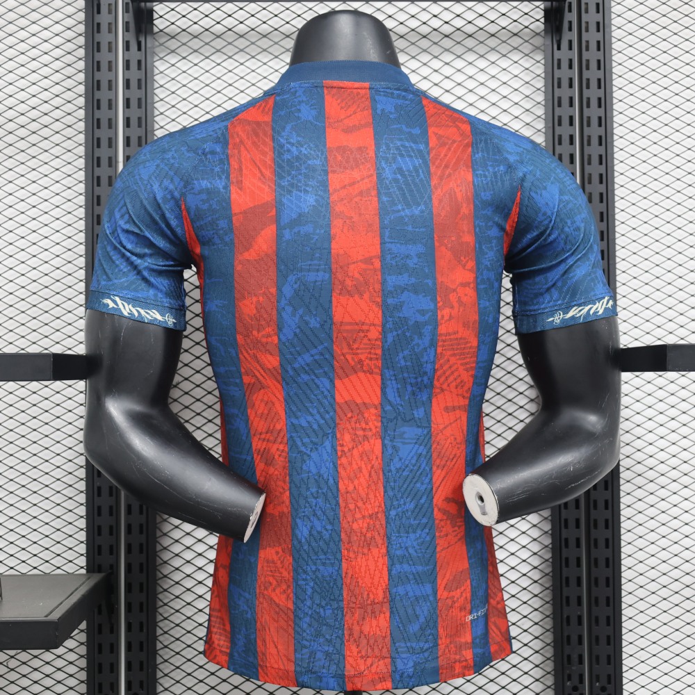 2024/2025 Barcelona Limited Edition Football Shirt（Player version）