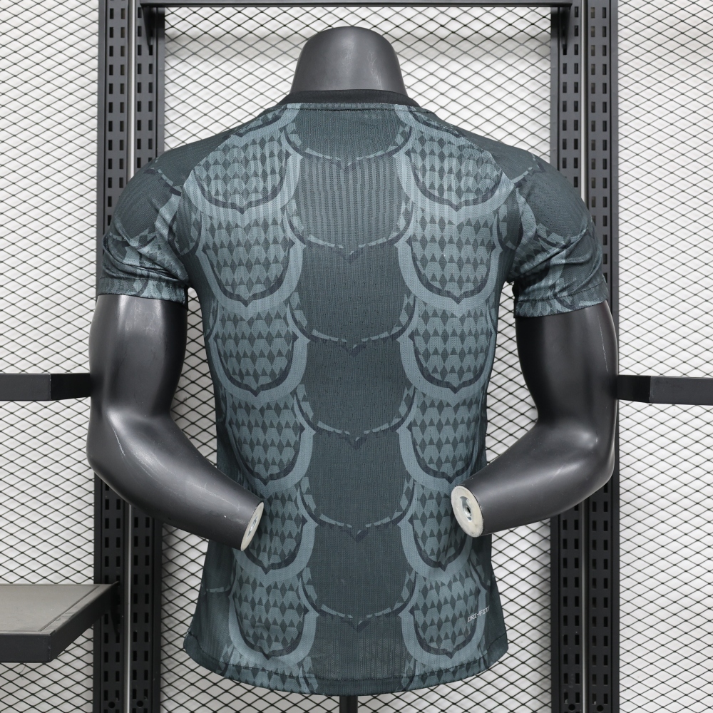 2024/2025 Barcelona Special Jersey(Player version)