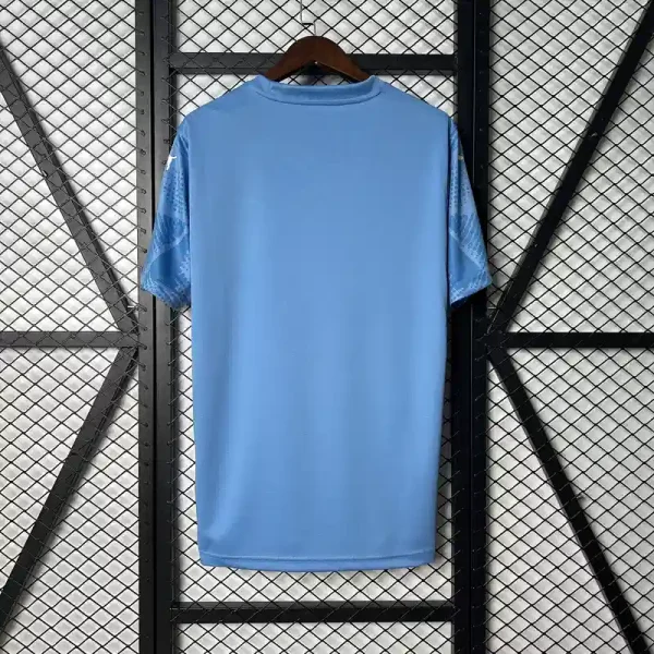 2025/2026 Palmeiras Goalkeeper Light Blue Soccer Jersey（ Fans Edition ）