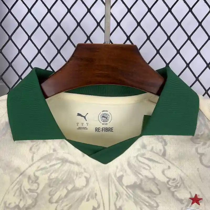 2025/2026 Palmeiras Special Soccer Jersey（ Fans Edition ）