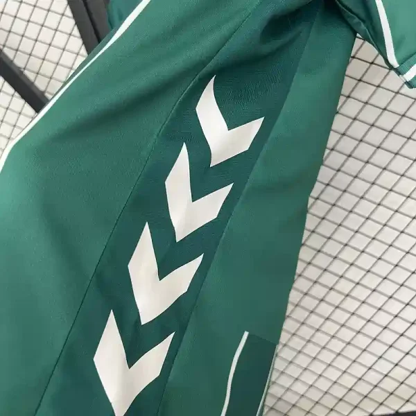 2025/2026 SV Werder Bremen Soccer Jersey Home Fan Edition