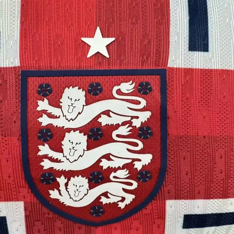 2024 England Training Wear Football Shirt Player version
