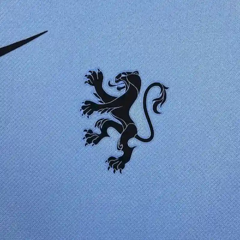 2025 Netherlands Soccer Jersey Away（ Fans Edition ）