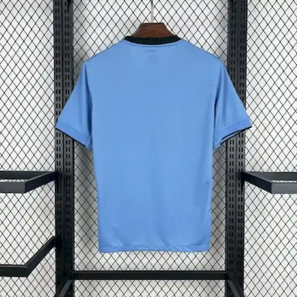2025 Netherlands Soccer Jersey Away（ Fans Edition ）