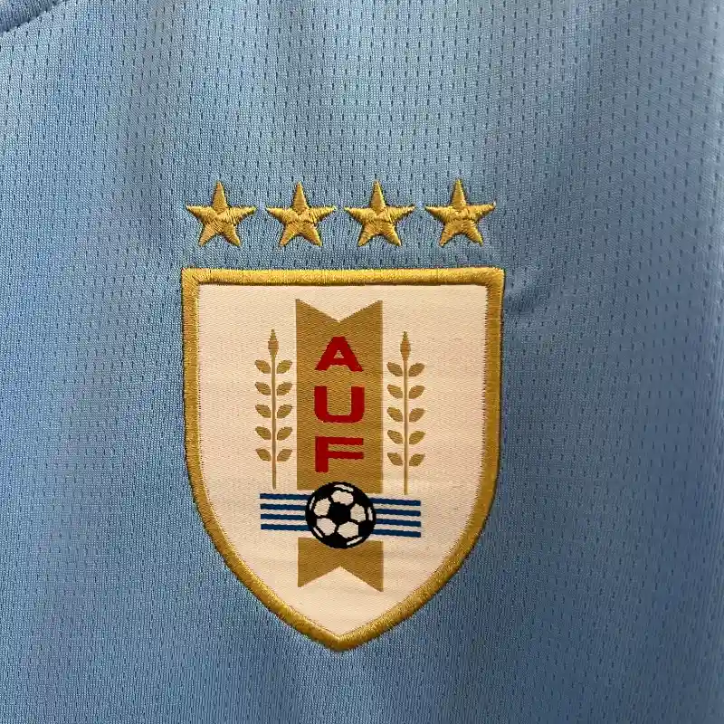 2024/2025 Uruguay Home Football Shirt Fan Edition