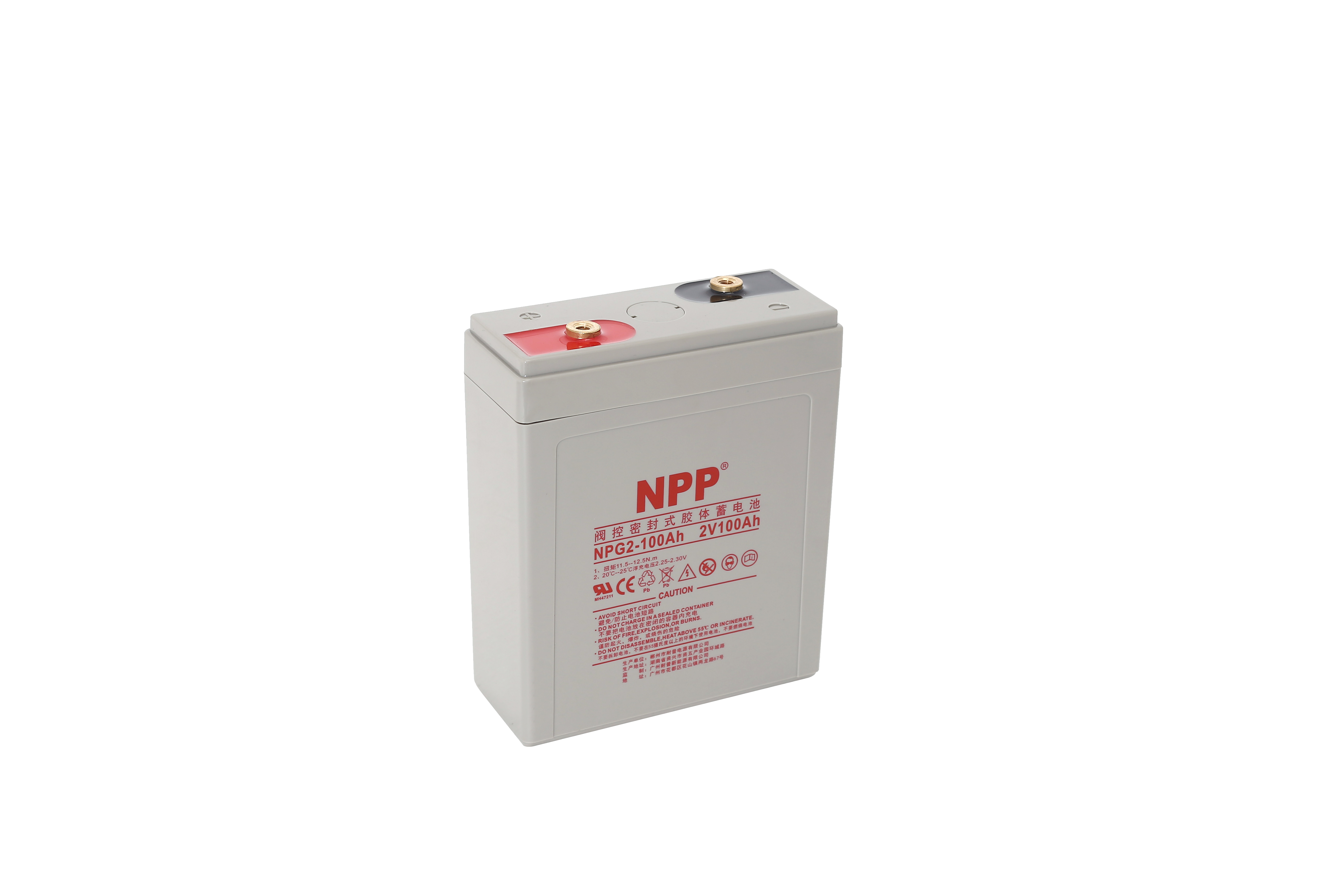 NPG2V-100Ah