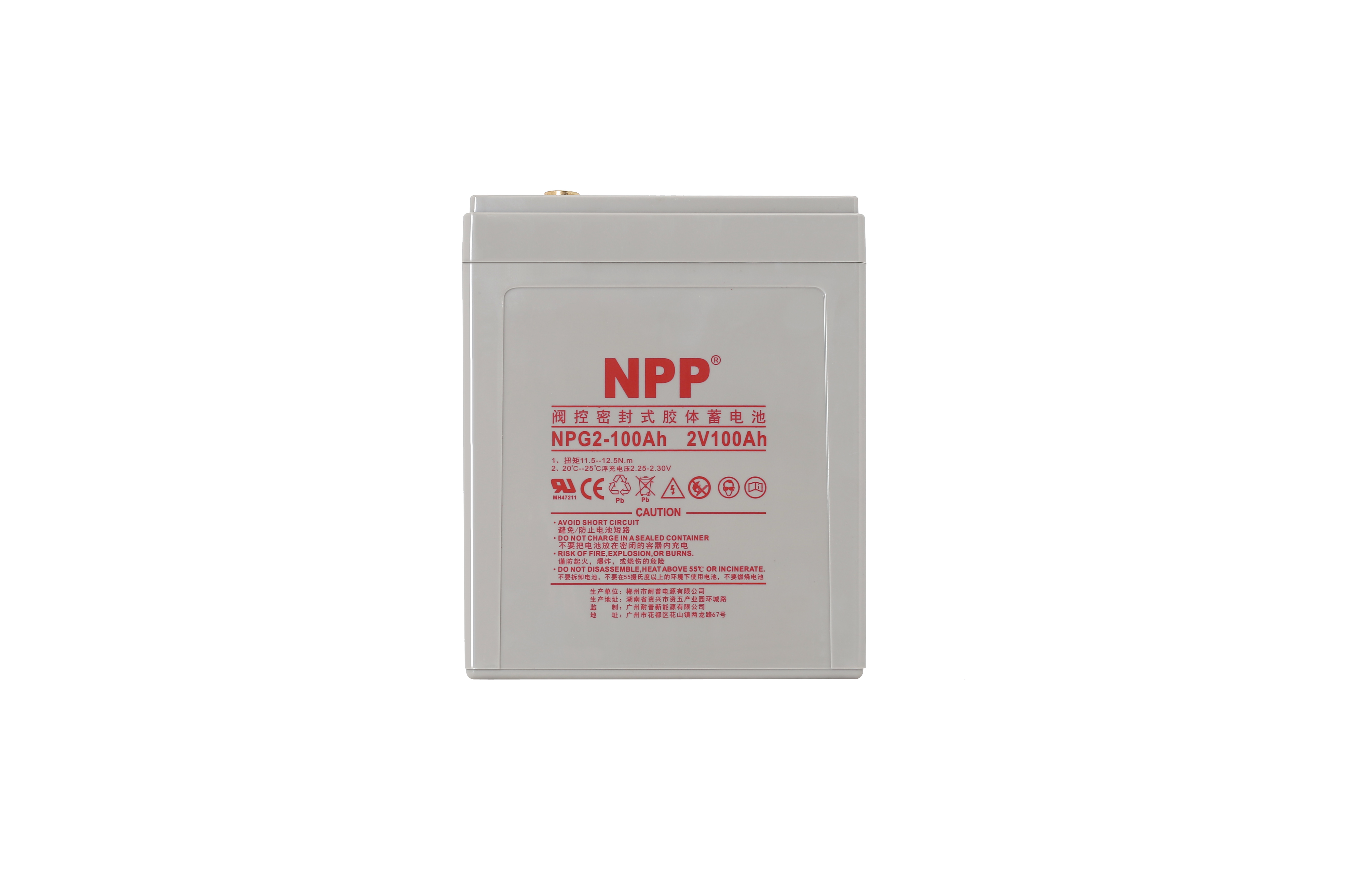 NPG2V-100Ah