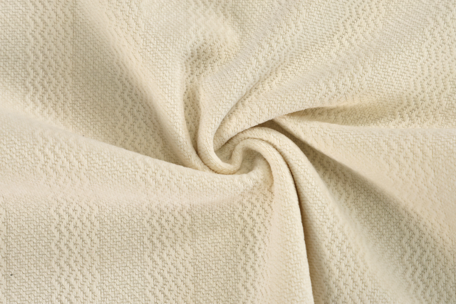 European cotton velvet jacquard fabric  # 25001