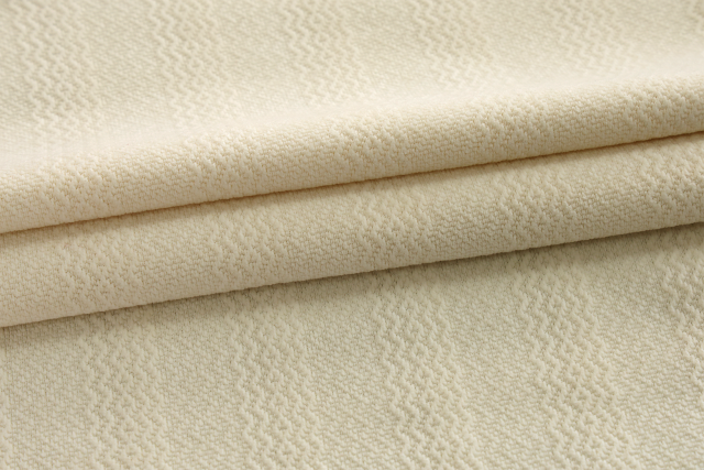 European cotton velvet jacquard fabric  # 25001