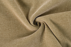 Woven chenille  # 9367 Beautiful Velvet Double Stripe
