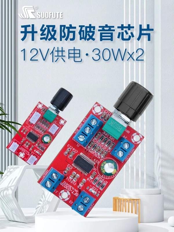 Dual Channel Digital Amplifier Board 60W High Power 2.0 Pure Rear Mini Amplifier Module with High Fidelity 12V