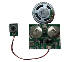 Recordable Voice Module