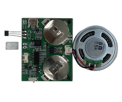 Recordable Voice Module