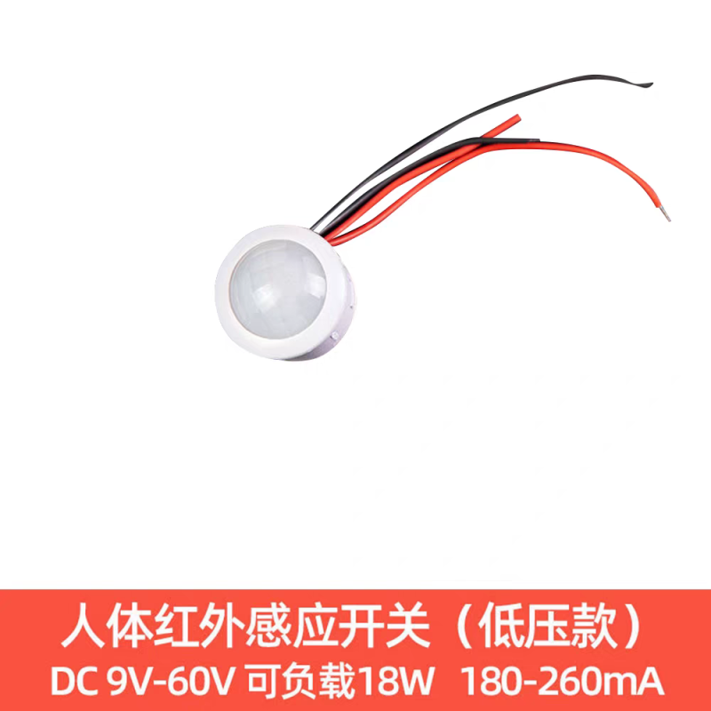220V Infrared Human Body Sensor