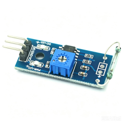 Magnetic Reed Switch Module