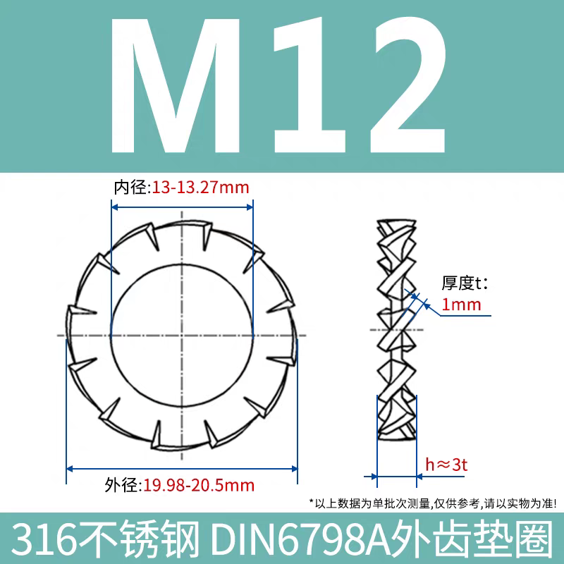 304/316 Stainless Steel External Serrated Washer