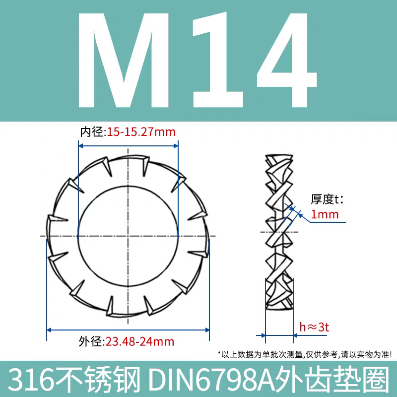 304/316 Stainless Steel External Serrated Washer
