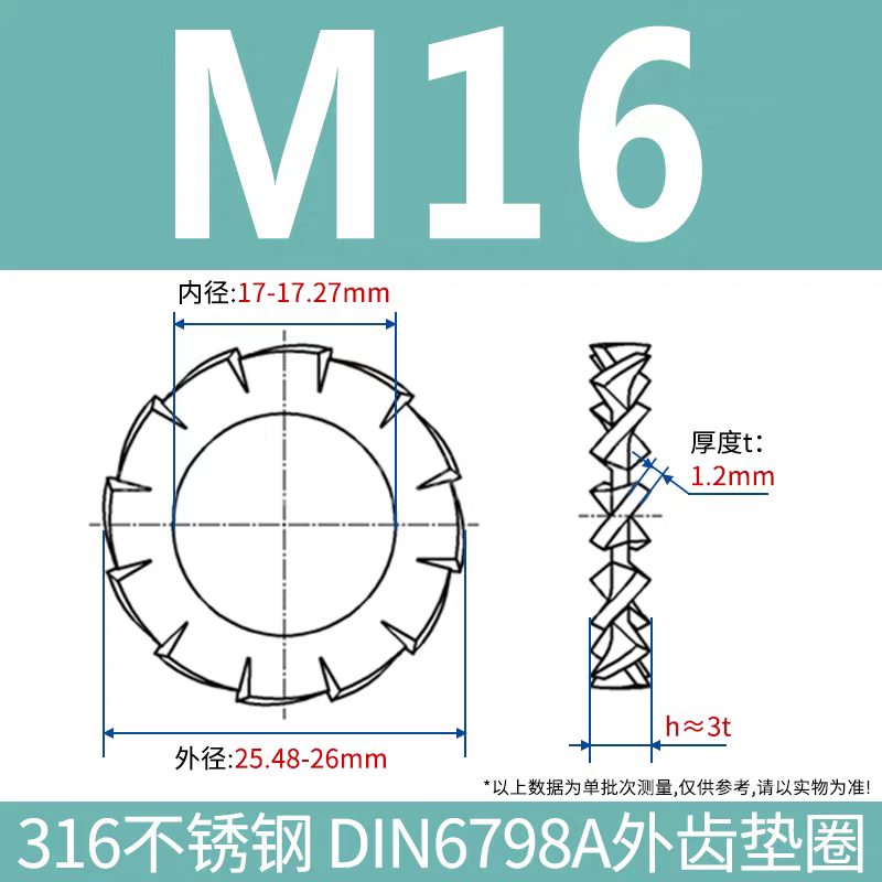 304/316 Stainless Steel External Serrated Washer
