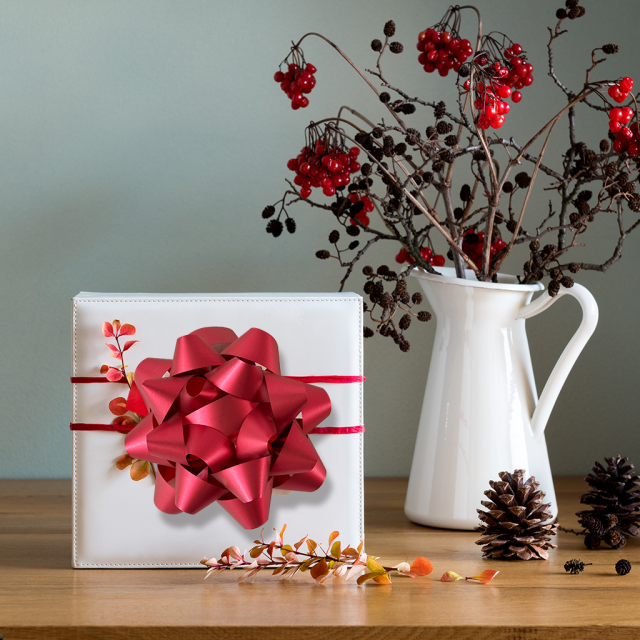 Gift Bow