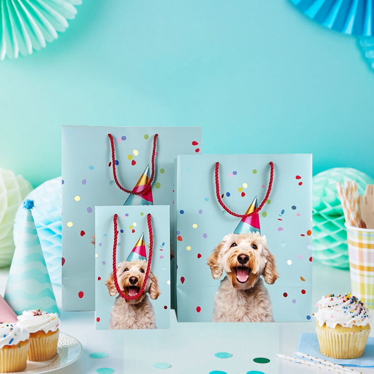 Gift Bag