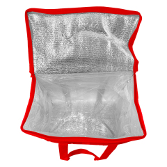Cooler Bag