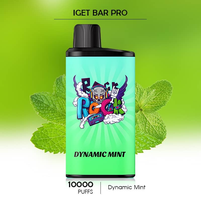 Dynamic Mint - IGET Bar Pro - 10000 Puffs