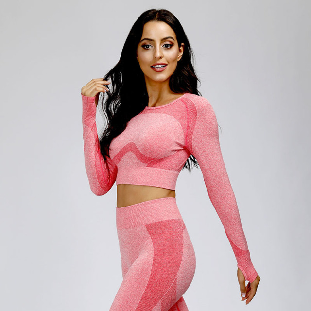 Womens yoga and gym fitness suit long sleeve top and capripants
