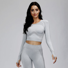 Womens yoga and gym fitness suit long sleeve top and capripants