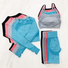 Womens yoga and gym fitness suit long sleeve top and capripants