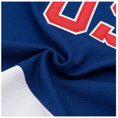 USA pro ice hockey team jersey tackle twill embroidery made custom logo names numbers for school and clubs