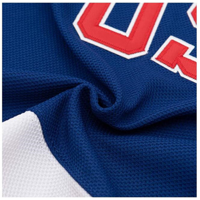USA pro ice hockey team jersey tackle twill embroidery made custom logo names numbers for school and clubs