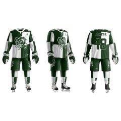 team set ice hockey jerseys practice hockey jersey