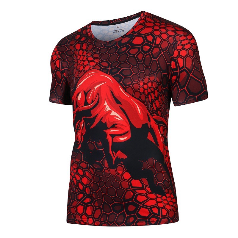 Top quality quick dry compress short sleeve t shirts mma rasguards for men