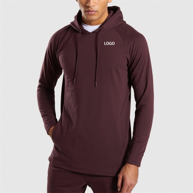 New season new style gym hoodie for running mens sports hoodie for spring